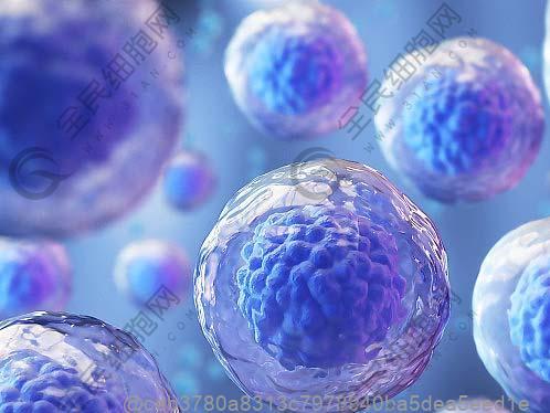 ct肺部檢查做哪一種好